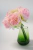 Bazsarózsa művirág Világos rózsaszín