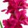 Kardvirág élethű művirág 267 magenta