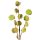 Pénzvirág élethű művirág 710 zöld