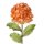Hortenzia művirág 726 Narancssárga