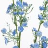 Virág 377 Kék