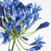Virág 389 Kék